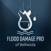 Flood Damage Pro of Bethesda logo
