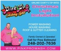 Pink Pro Wash logo